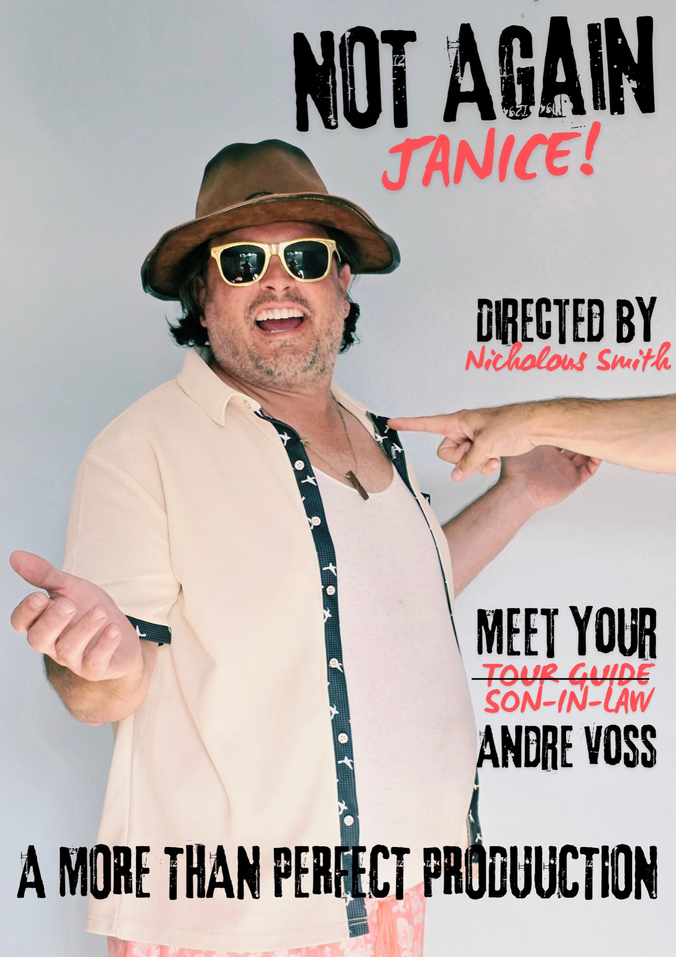Not Again Janice! poster